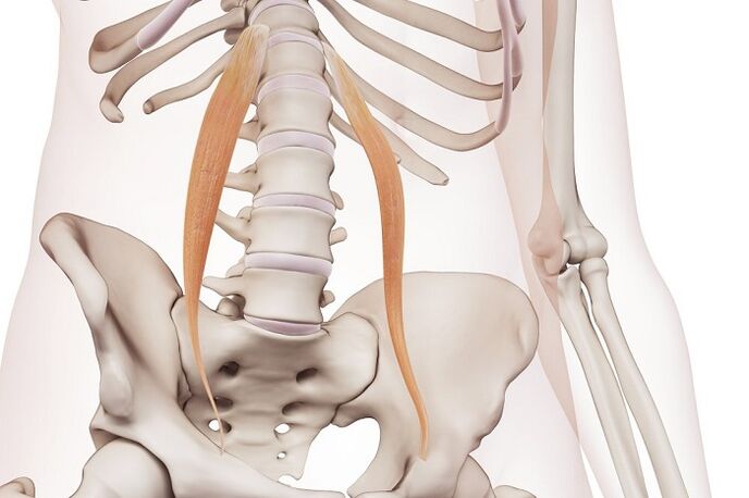 Osteocondrosis espinal en la región lumbar la esencia de la enfermedad